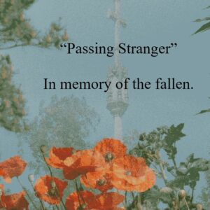 Passing Stranger (Audio Only)